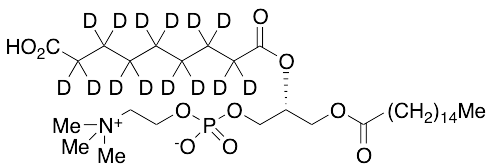 PazePC-D14