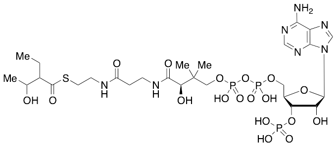 2-Ethyl-3-Hydroxybutyryl Coenzyme A