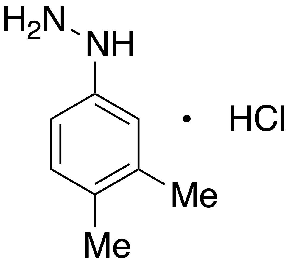 3,4-Dimethylphenylhydrazine Hydrochloride Salt