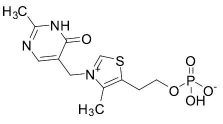 Oxythiamine Monophosphate