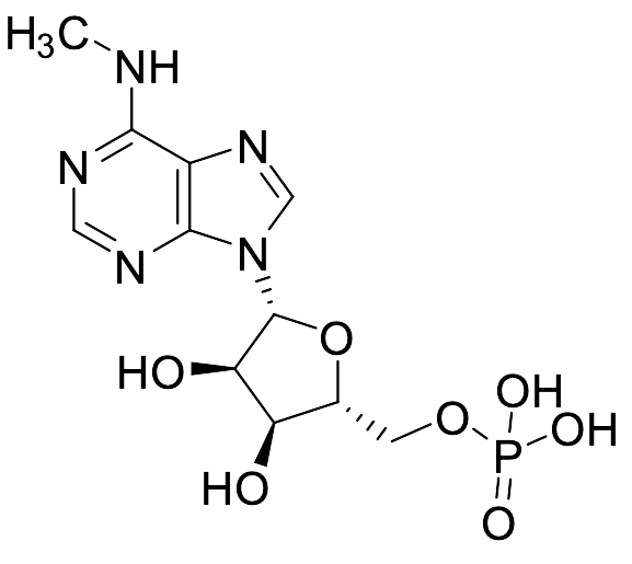 N6-Methyladenosine-5'-monophosphate
