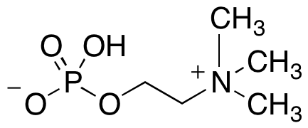 Trimethyl Orthopropionate
