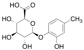 2-Hydroxy-4-methylphenyl beta-D-glucopyranosiduronic Acid