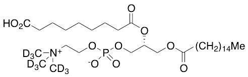 PazePC-D9