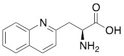 (S)-2-Amino-3-quinolin-2-yl-propionic Acid