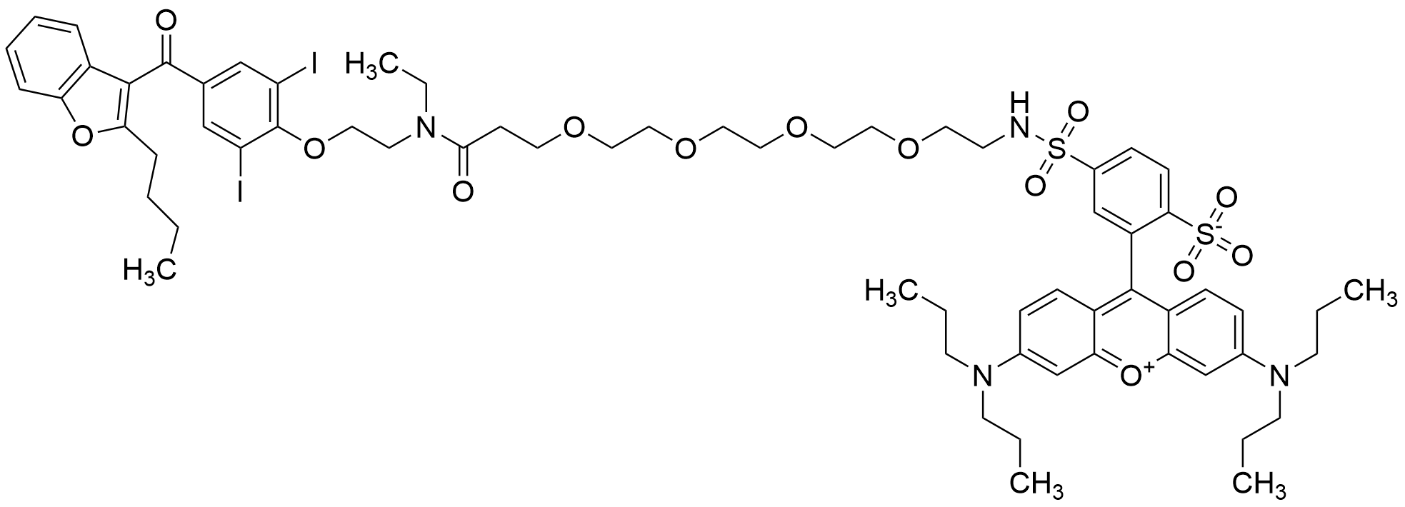 Desethyl Amiodarone RhodamineB-dPEG(4) Amide
