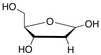ブランド通販サイト 2-Deoxy-D-ribose（TRC-D252000-10MG）（カテゴリ：化成品 イラスト